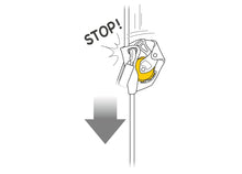 Load image into Gallery viewer, Petzl ASAP