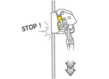 Load image into Gallery viewer, Petzl ASAP LOCK