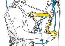 Load image into Gallery viewer, Petzl ASAP LOCK