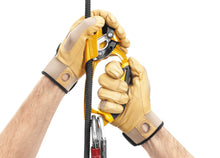 Load image into Gallery viewer, Petzl ASCENSION
