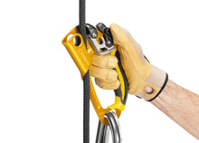 Load image into Gallery viewer, Petzl ASCENSION