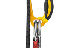 Load image into Gallery viewer, Petzl ASCENSION