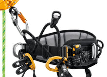 Load image into Gallery viewer, black sequoia harness featuring gated attachment points