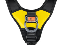 Load image into Gallery viewer, Petzl AVAO FAST international