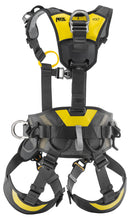 Load image into Gallery viewer, Black harness with yellow highlights rear view