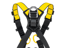 Load image into Gallery viewer, close up on rear D-ring of Petzl Newton harness, international version &quot;Width&quot;=1200 &quot;Height&quot;=861