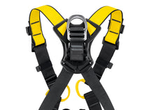 Load image into Gallery viewer, close up on rear D-ring of Petzl Newton harness, international version "Width"=1200 "Height"=861