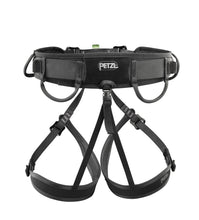 Load image into Gallery viewer, Rear view of Petzl Aspic harness "Width"=1087 "Height"=1200