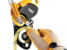 Load image into Gallery viewer, Petzl PRO TRAXION