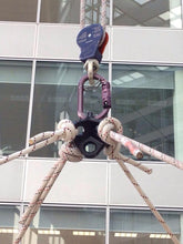 Load image into Gallery viewer, Rock Exotica Rock Star 3-D Rig Plate