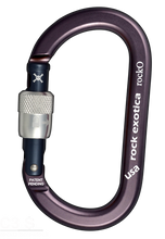 Load image into Gallery viewer, Rock Exotica rockO