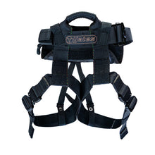 Load image into Gallery viewer, Yates Tactical Rappel Belt - MD(30-36)