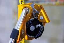 Load image into Gallery viewer, Petzl ASAP Mobile Fall Arrestor