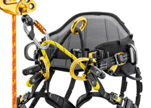 Load image into Gallery viewer, Petzl SEQUOIA PLUS Harness
