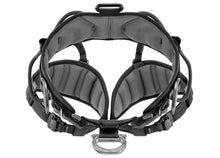 Load image into Gallery viewer, Petzl AVAO SIT