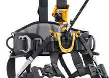 Load image into Gallery viewer, Petzl ASTRO international
