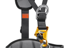 Load image into Gallery viewer, Petzl ASTRO international