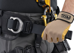 Petzl ASTRO international