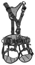 Load image into Gallery viewer, Petzl ASTRO international