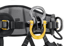 Load image into Gallery viewer, Petzl ASTRO SIT