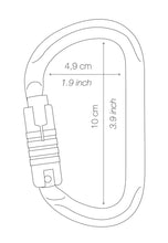 Load image into Gallery viewer, Petzl VULCAN Carabiner