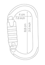 Load image into Gallery viewer, Petzl OK Carabiner