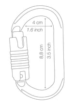 Load image into Gallery viewer, Petzl OXAN Carabiner