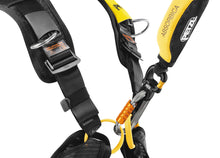 Load image into Gallery viewer, Petzl MICROSWIVEL