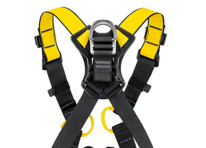 close up on rear D-ring of Petzl Newton harness, international version "Width"=1200 "Height"=861