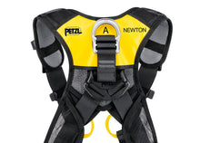 Load image into Gallery viewer, closeup view on rear of Petzl Newton Easyfit harness, international version &quot;Width&quot;=1200 &quot;Height&quot;=861