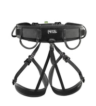 Load image into Gallery viewer, Rear view of Petzl Aspic harness &quot;Width&quot;=1087 &quot;Height&quot;=1200